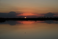 DSCF0327