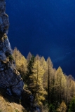 Federico_lariceto_verso_valle