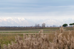 Brussa-Anna-ADS_8947-Pano