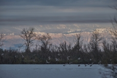 fischioni-val-nova-Federico1