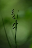 DSCF9456
