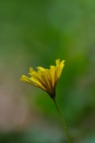DSCF9458