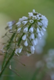 DSCF9480