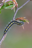 DSCF9607