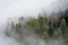 07-Altopiano-di-Asiago-Nebbia