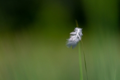 06_LS_IMG_9338