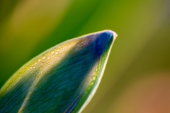 11_LS19__25B2264
