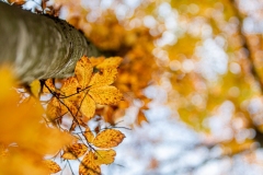 15_LS__25B6903