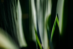 MS-20200413-145650-2