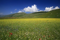 Il-paese-di-Castelluccio-da-Pian-Grande