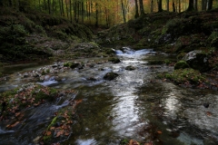 Riflessi-sul-Torrente-Arzino-Fvg