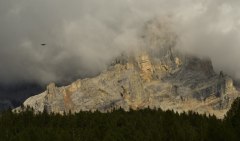 corvo-imperiale-sul-sasso-della-Crode-Alta-badia-Ugo