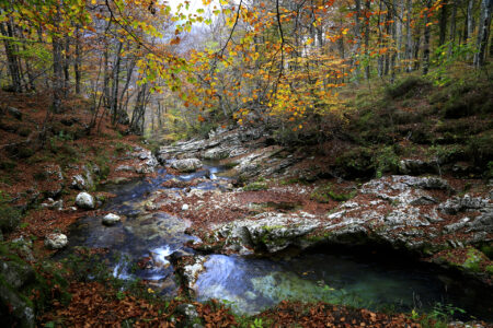 Foto N° 3 - Torrente Arzino