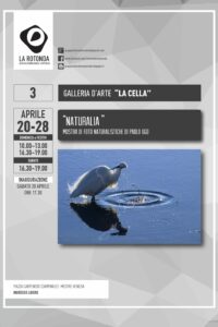 2024-04-20 2024-04-28 Paolo Ugo